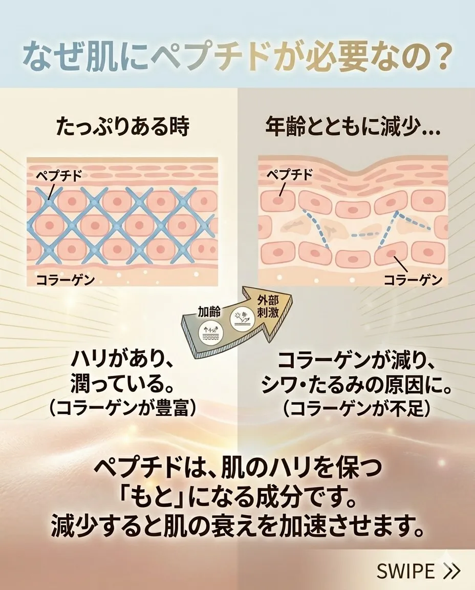 美肌の鍵🔑「ペプチド」って知ってる?
